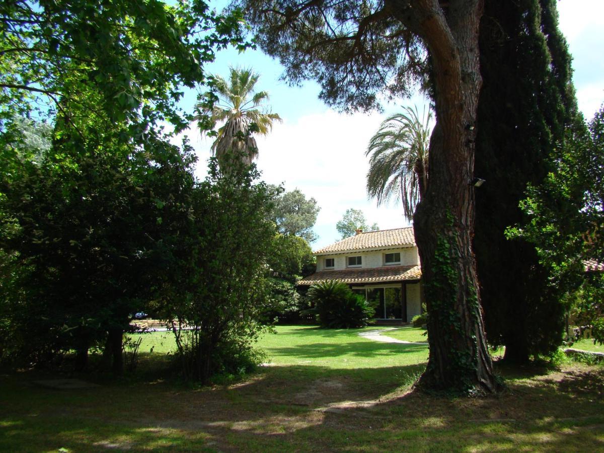 La Villa Saint Andre - Argeles Sur Mer Exterior photo
